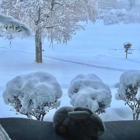 Magnifique Maison Pres Du Centre Nendaz Dış mekan fotoğraf