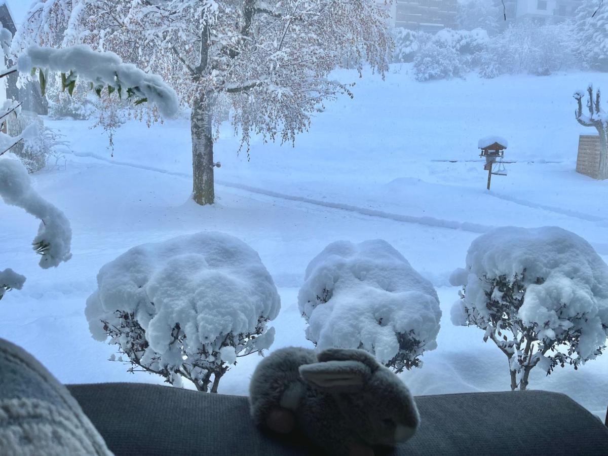 Magnifique Maison Pres Du Centre Nendaz Dış mekan fotoğraf