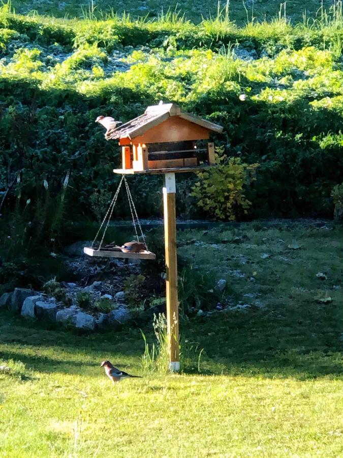Magnifique Maison Pres Du Centre Nendaz Dış mekan fotoğraf